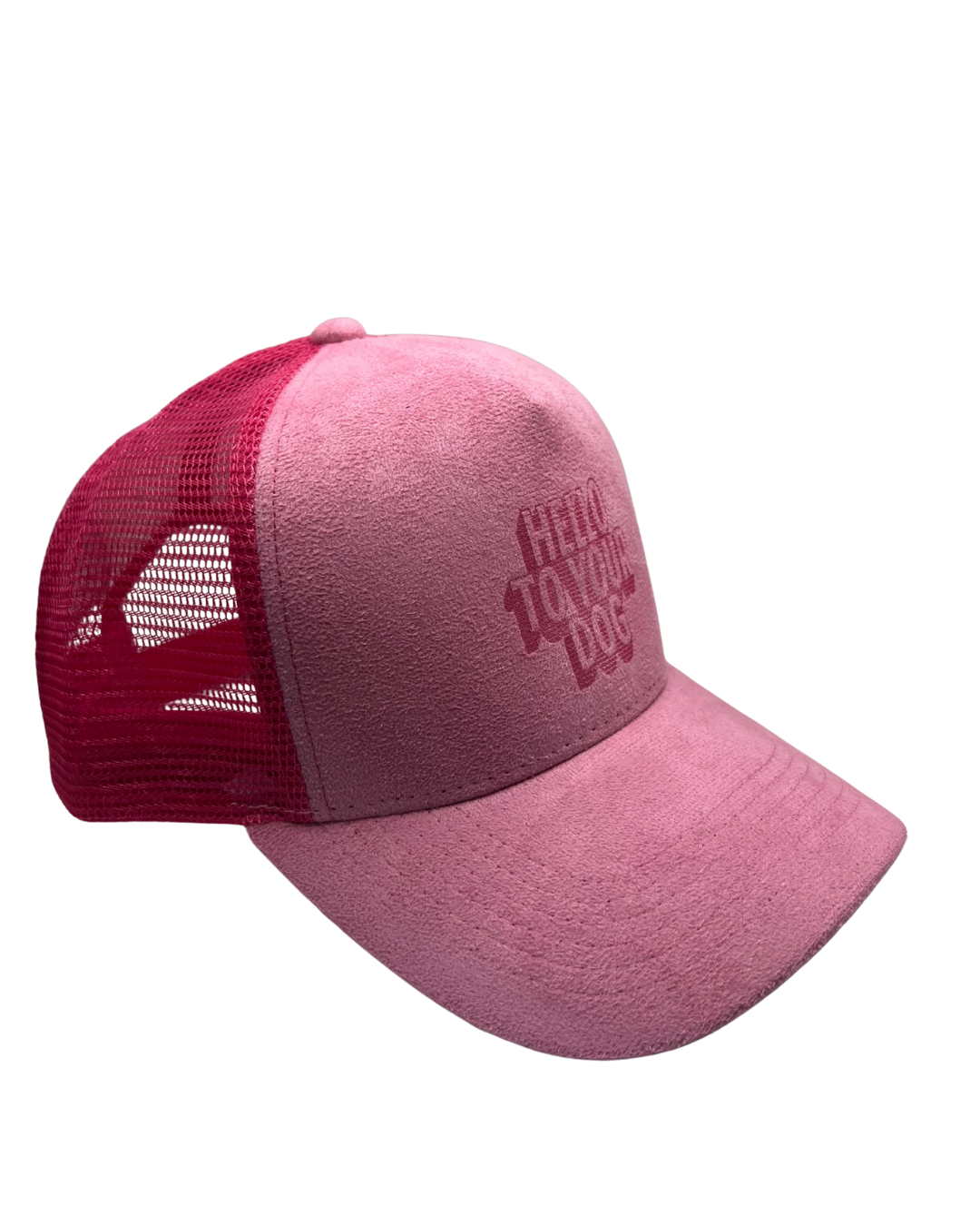 'Hello to Your Dog' Suede Snapback Cap Pink