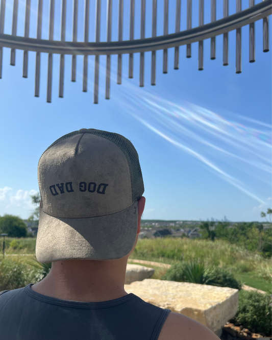 Dog Dad Suede Cap