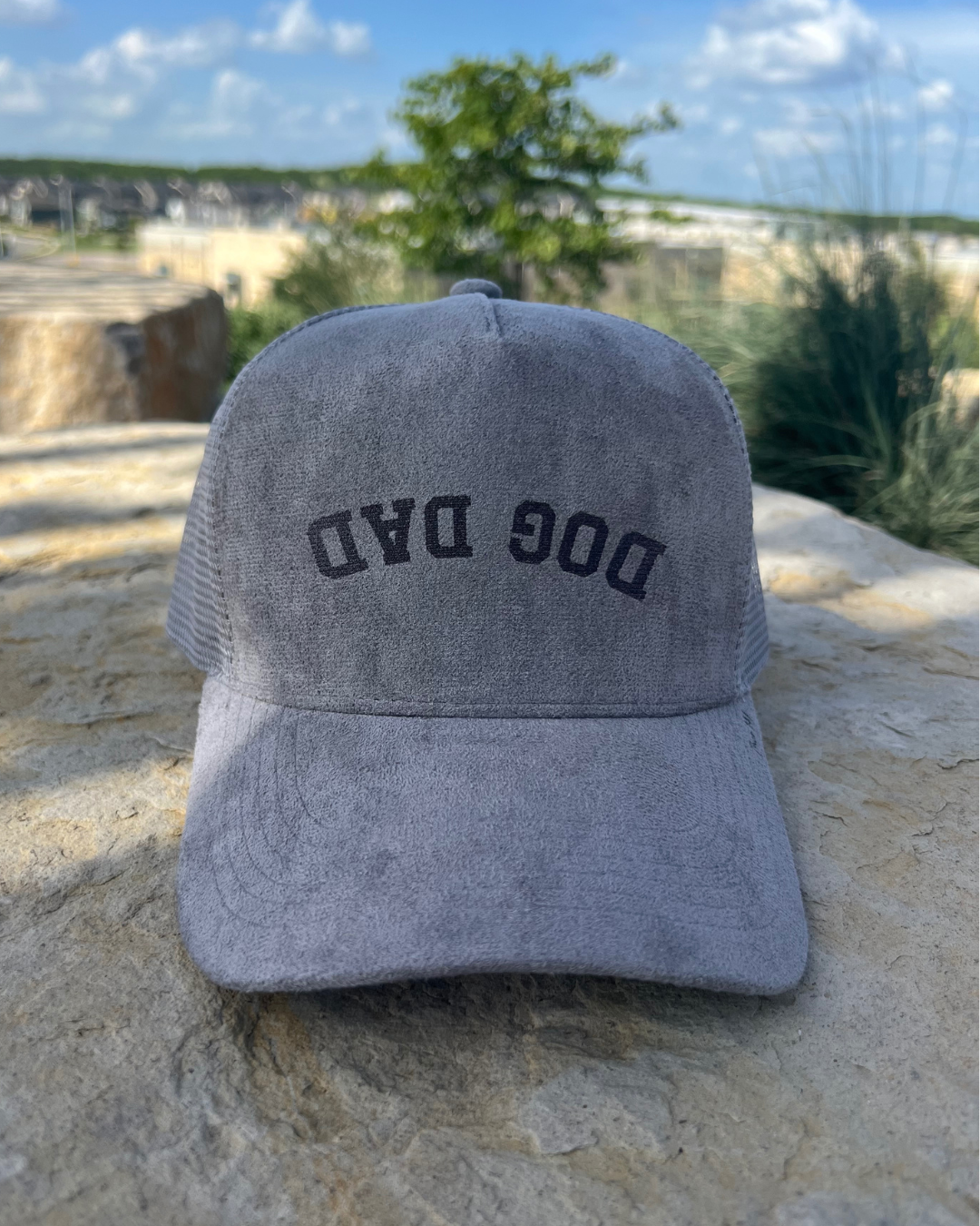 Dog Dad Suede Cap
