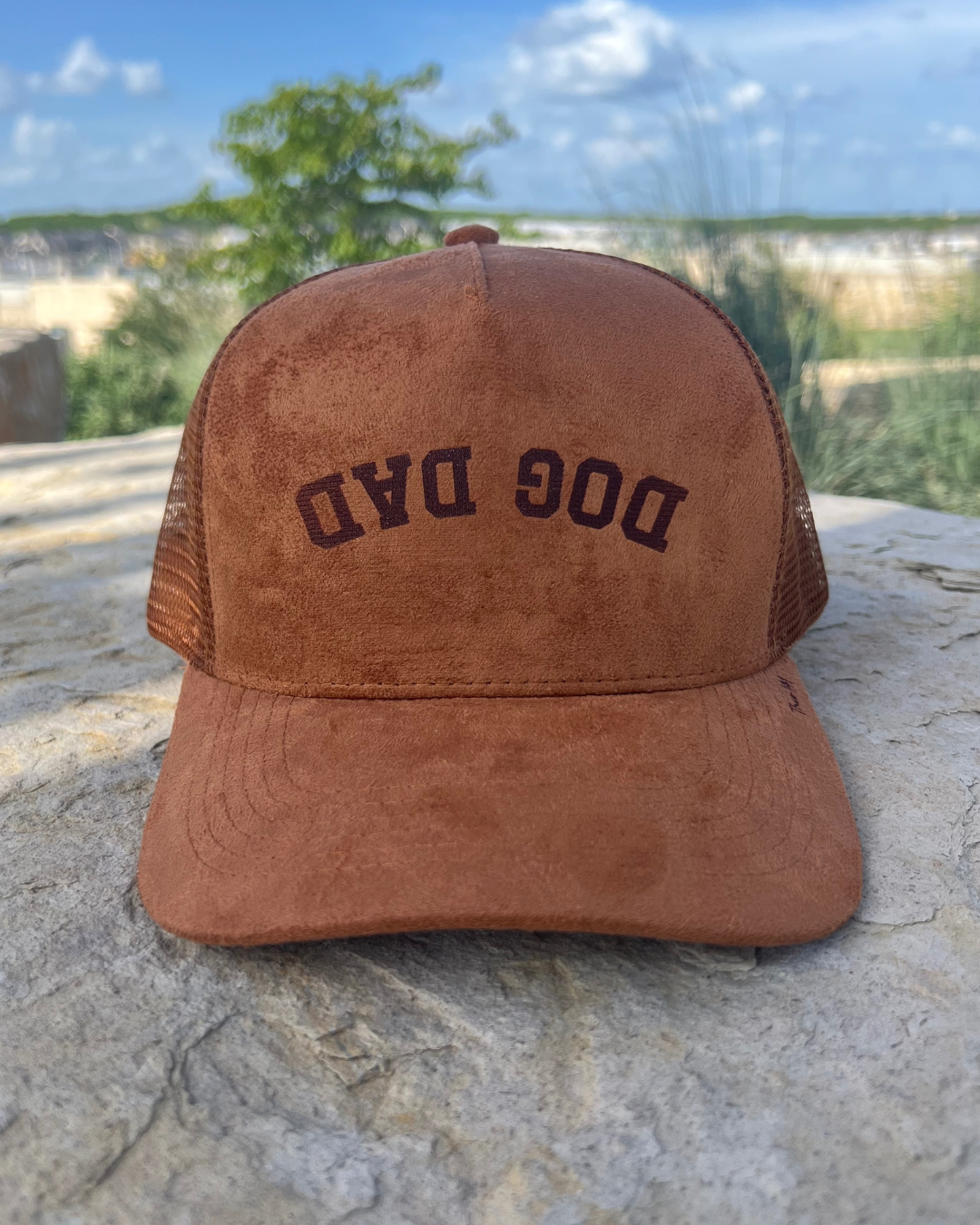 Dog Dad Suede Cap
