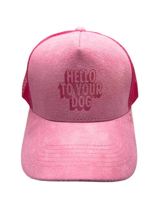 'Hello to Your Dog' Suede Snapback Cap Pink