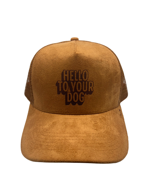 'Hello to Your Dog' Suede Snapback Cap Brown
