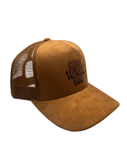 'Hello to Your Dog' Suede Snapback Cap Brown