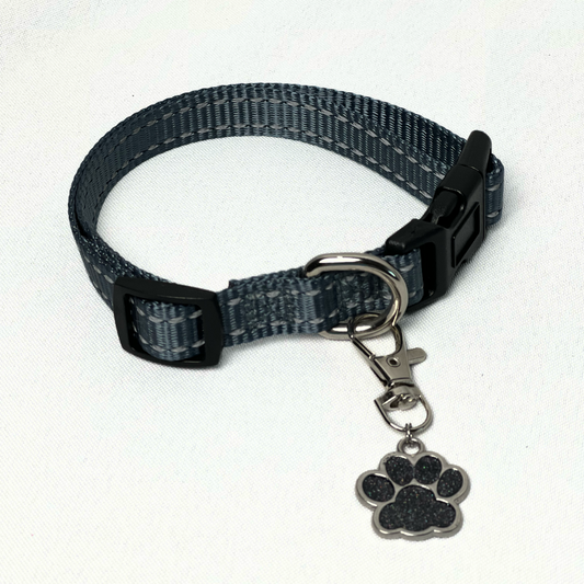 Glitter Paw Pet Tag