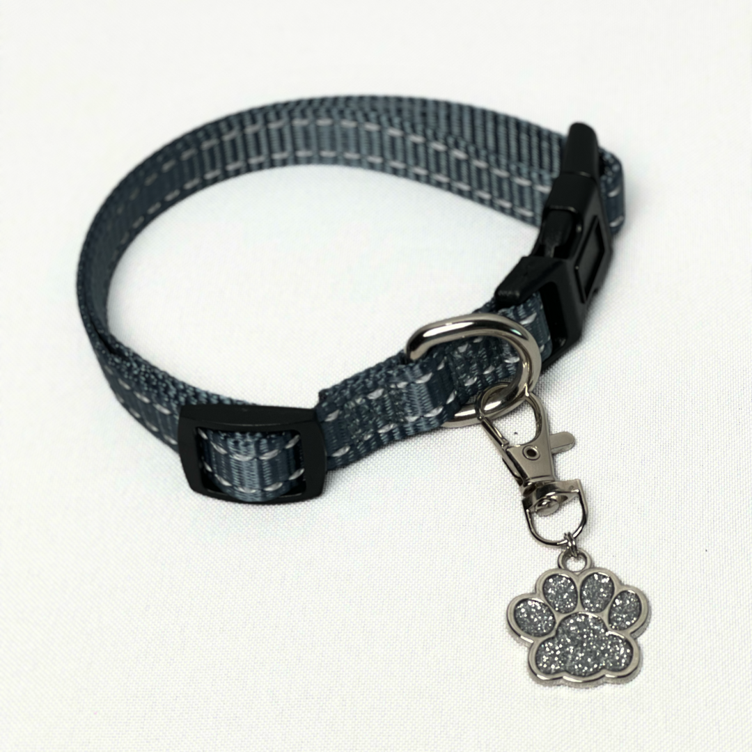 Glitter Paw Pet Tag