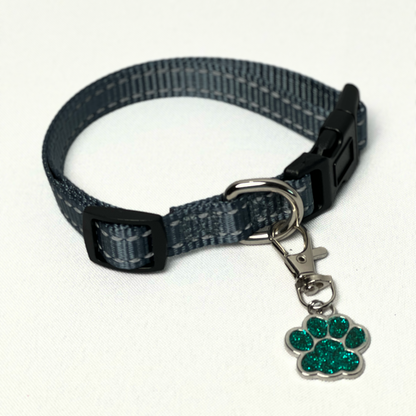 Glitter Paw Pet Tag