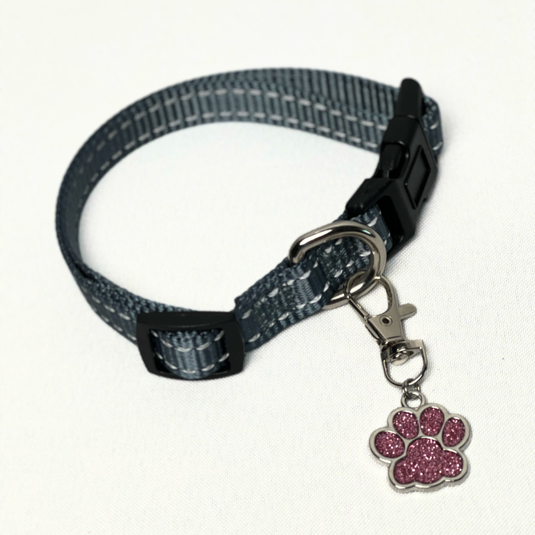 Glitter Paw Pet Tag