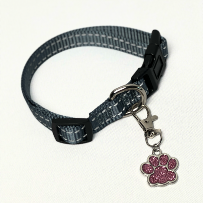 Glitter Paw Pet Tag