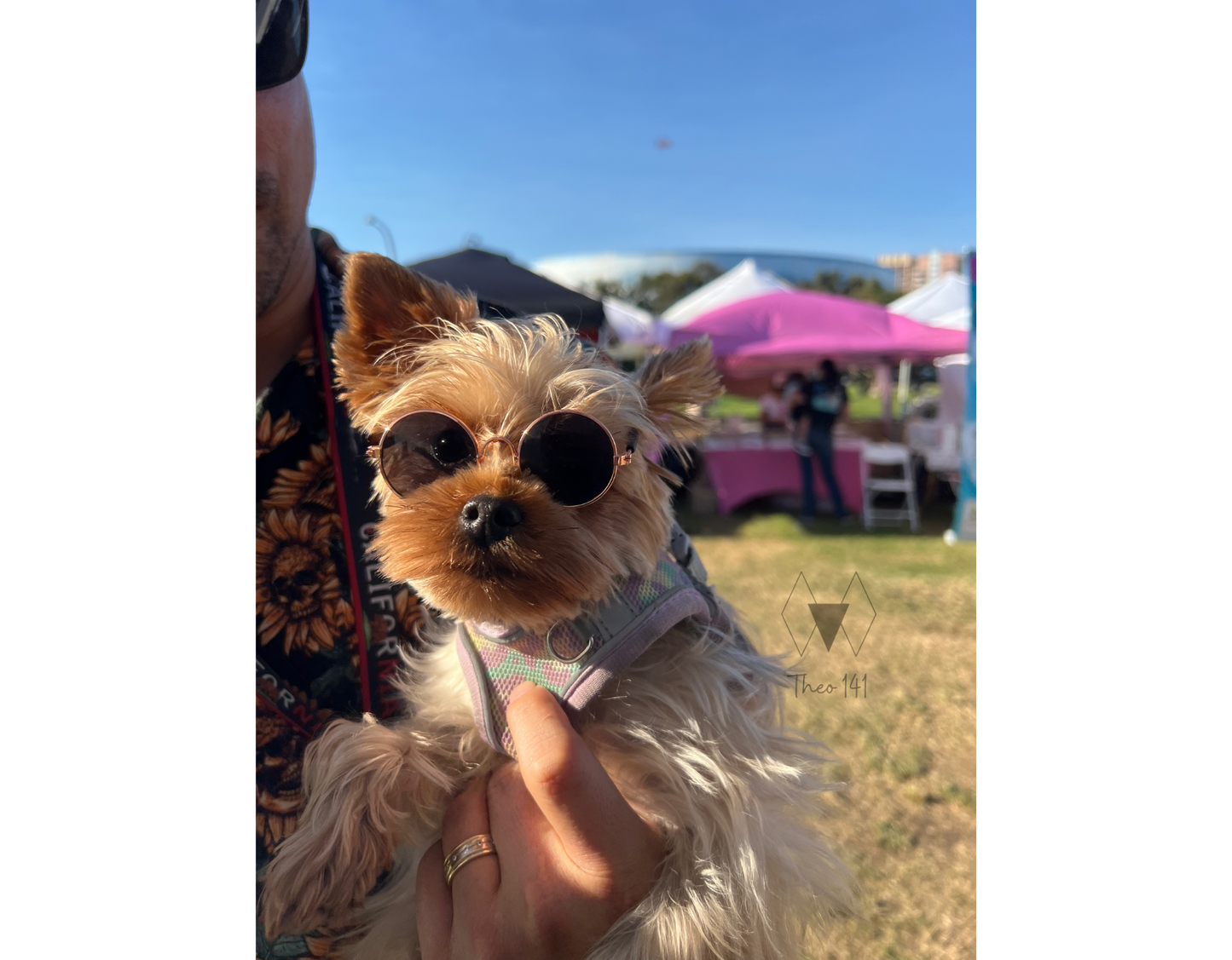 Pet Sunglasses