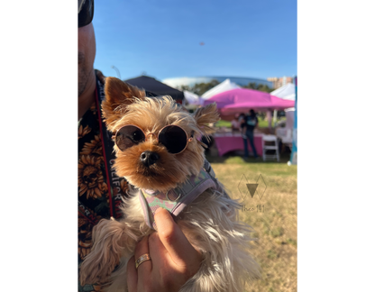 Pet Sunglasses