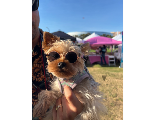 Pet Sunglasses