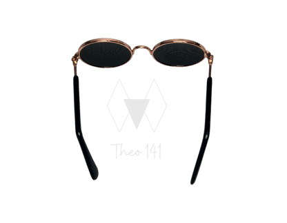 Pet Sunglasses